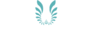 Woolly Dream